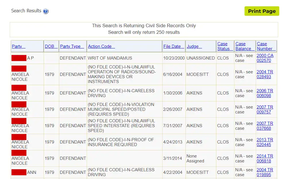 A screenshot shows the list of cases from the Leon County Clerk of the Circuit Court and Comptroller page with information such as party name, DOB, party type, action code, file date, Judge, case status, case balance and case number.