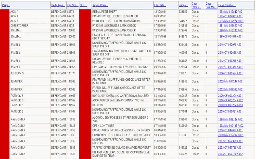 A screenshot displaying a criminal name search results showing details such as party name, party type, date of birth, action code, file date, judge, case status, case balance and case number from the Leon County Clerk of the Circuit Court & Comptroller