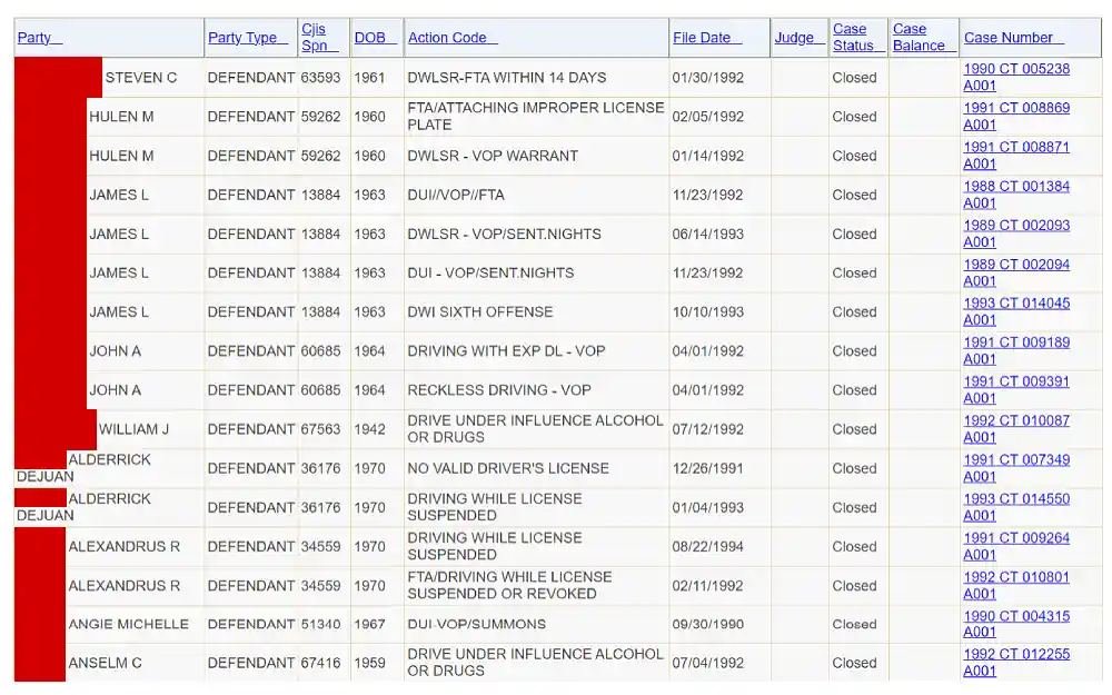 A screenshot displaying court results showing details such as full party name, SPN, date of birth, action code, date filed, judge, case status, balance and number from the Leon County Clerk of the Circuit Court & Comptroller website.