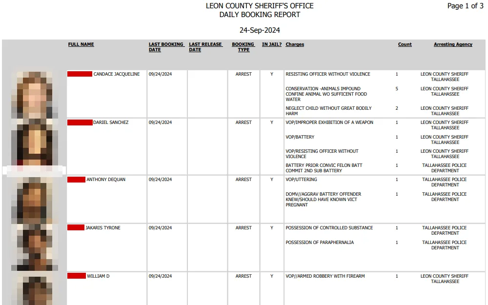 A screenshot of Leon County Sheriff's Office's booking report for September 24, 2024 displays a table which contains the following information of the arrested individuals from left to right: mugshot, name, booking date, release date, booking type, jail status, charges, count, and arresting agency.